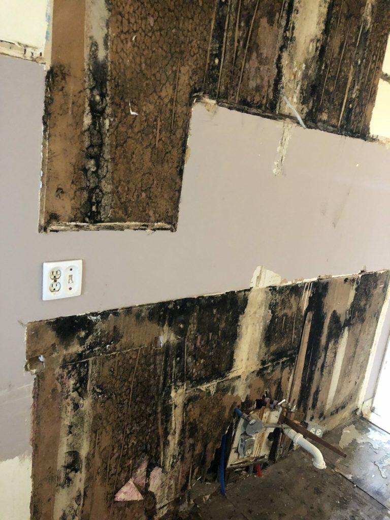 Wall with mold growth