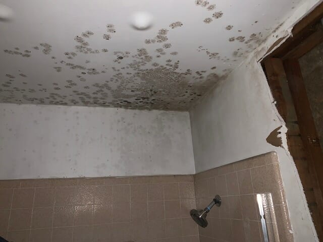 a bathroom with mold on the ceiling